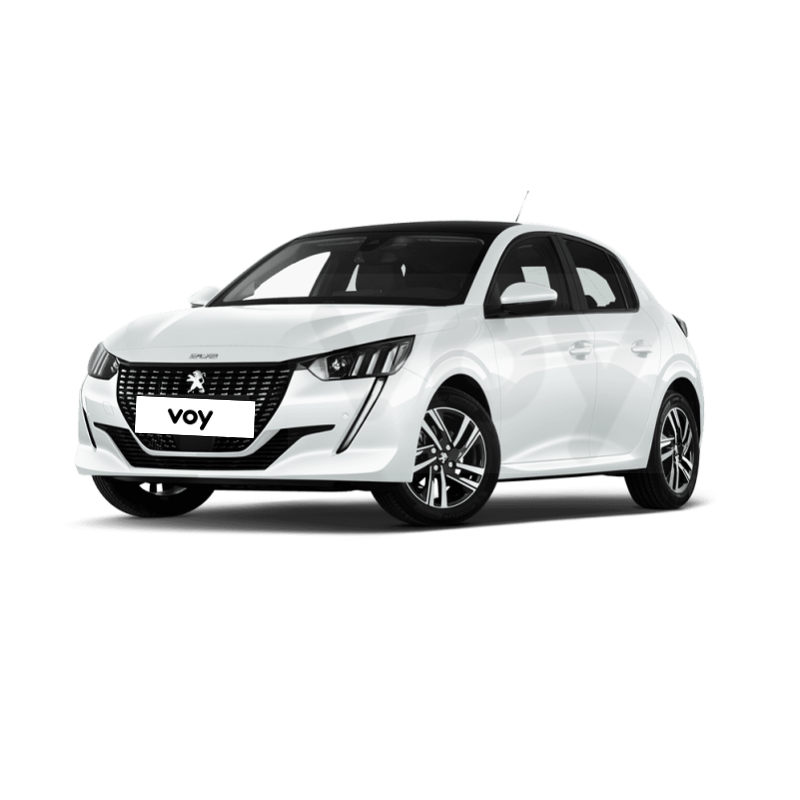 PEUGEOT-208 renting