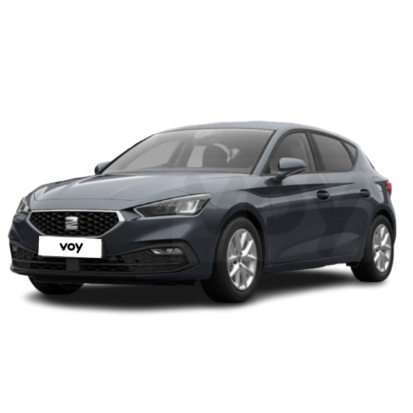 SEAT-LEON-GRIS renting